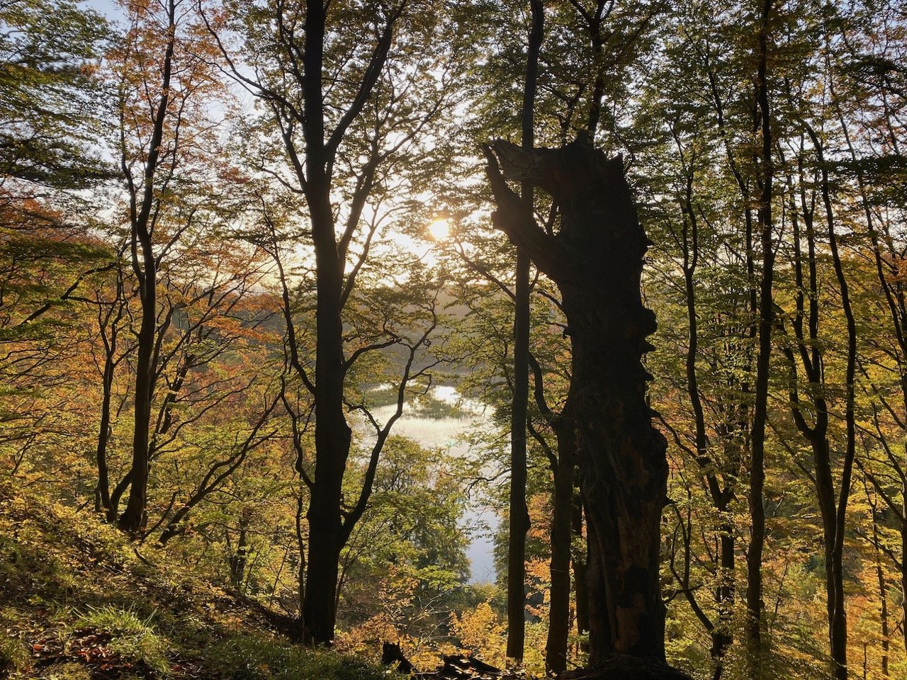 Karstlandschaft Südharz – Itelklippen bei Walkenried mit Itelteich