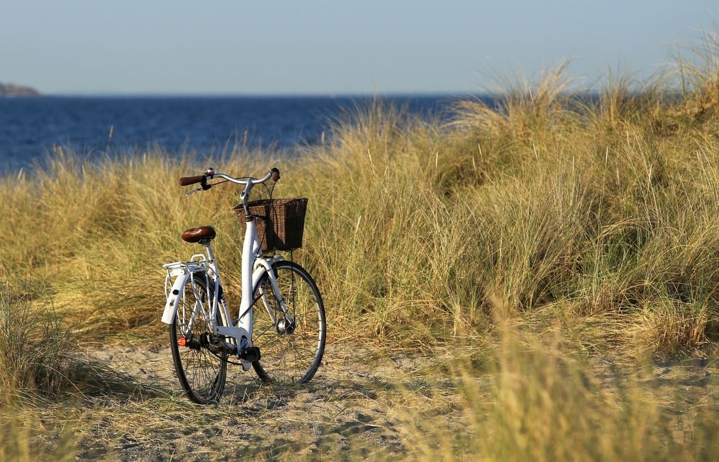 Fahrrad mit Korb in den Ostseedünen bei Dahme – Ostseeküstenradweg Schleswig-Holstein