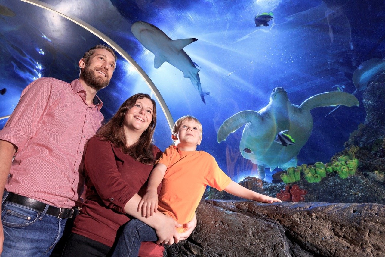 Familienausflug zum SEA LIFE Timmendorfer Strand ab Dahme